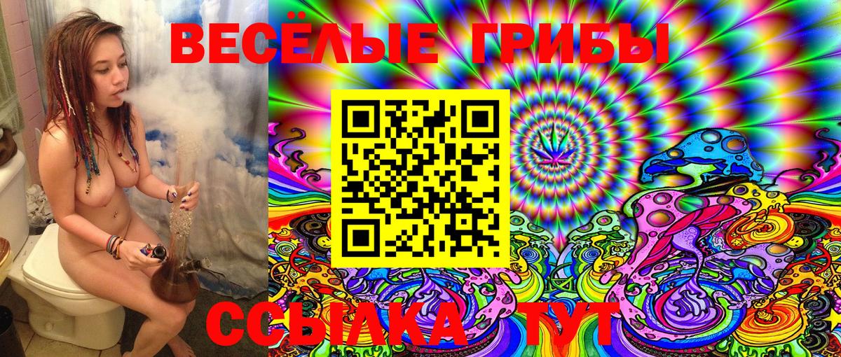 Псилоцибиновые грибы Psilocybe Арсеньев